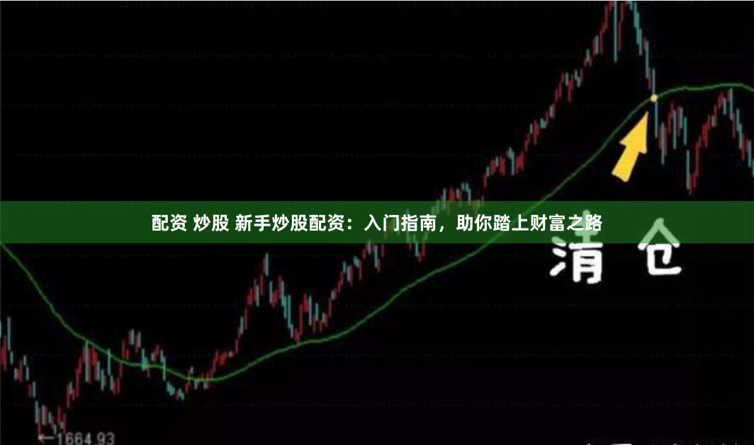 配资 炒股 新手炒股配资：入门指南，助你踏上财富之路