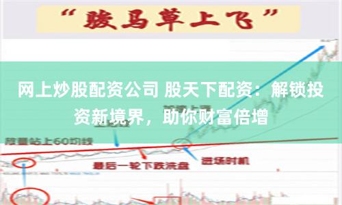 网上炒股配资公司 股天下配资：解锁投资新境界，助你财富倍增