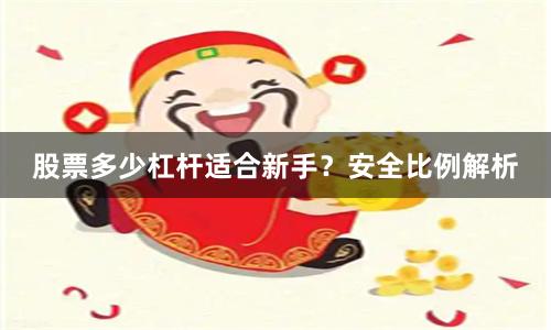 股票多少杠杆适合新手？安全比例解析